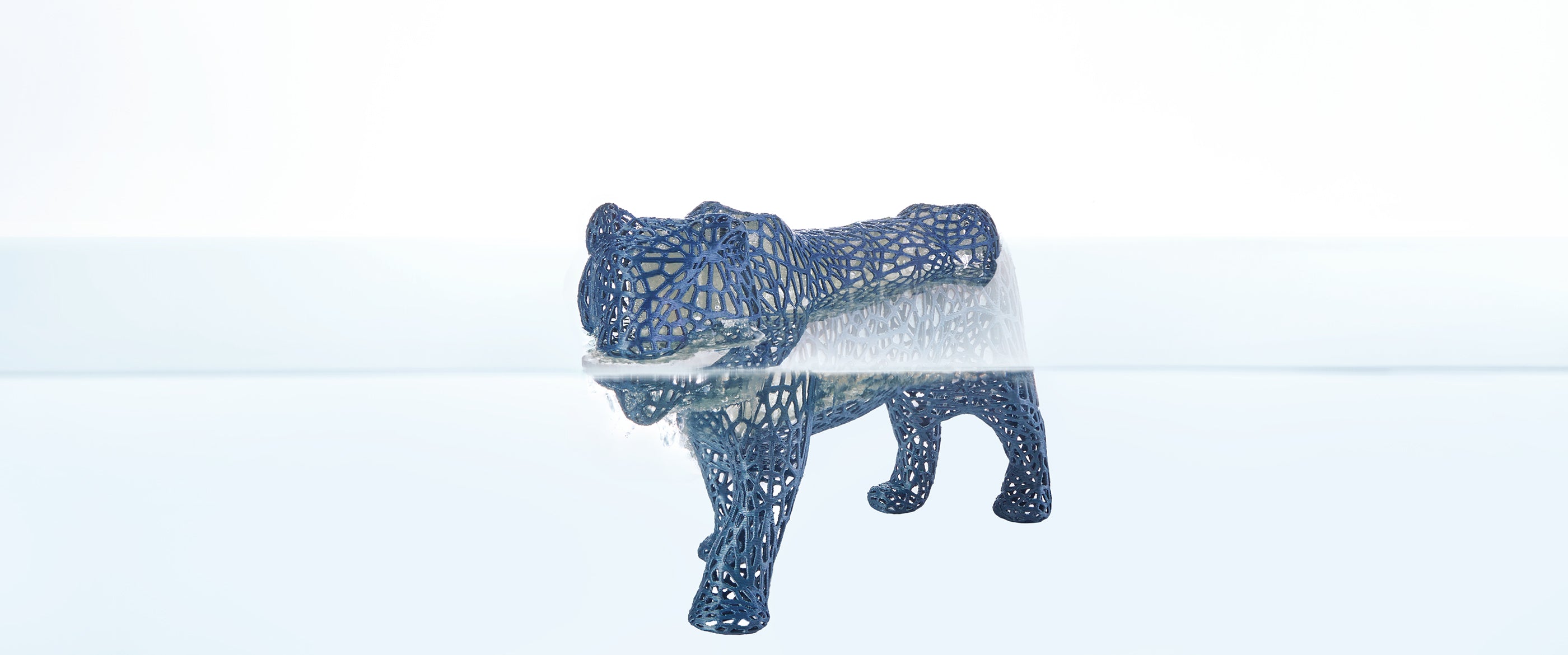 ANYCUBIC-AU