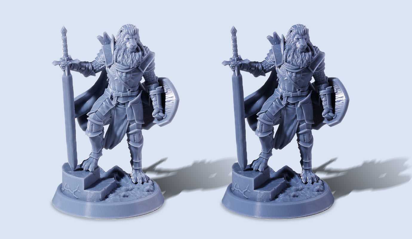 ANYCUBIC-AU