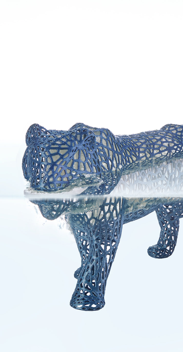 ANYCUBIC-AU